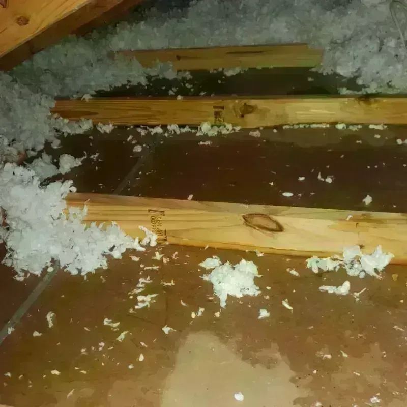 Attic Water Damage in Helena Valley Northeast, MT