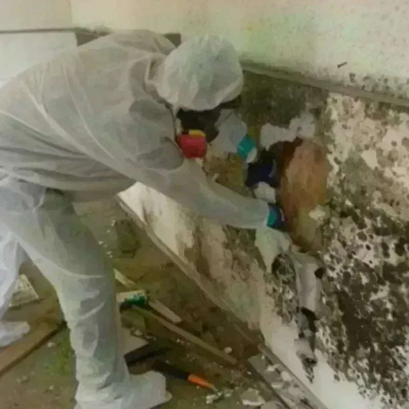 Mold Remediation and Removal in Helena Valley Northeast, MT