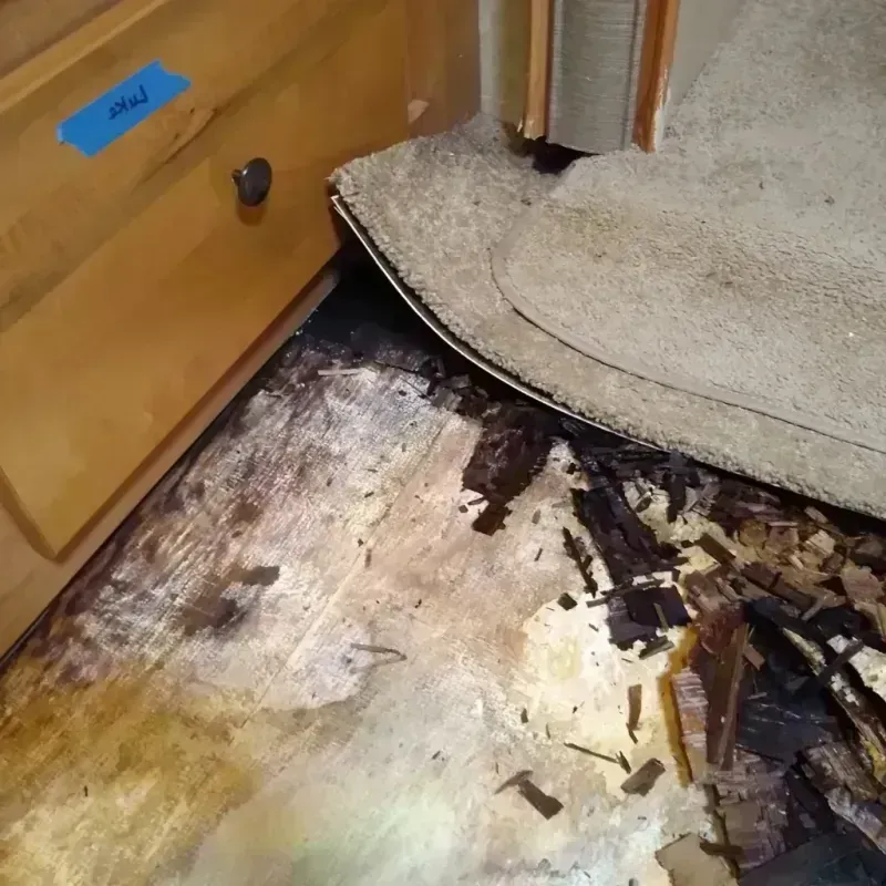 Wood Floor Water Damage in Helena Valley Northeast, MT